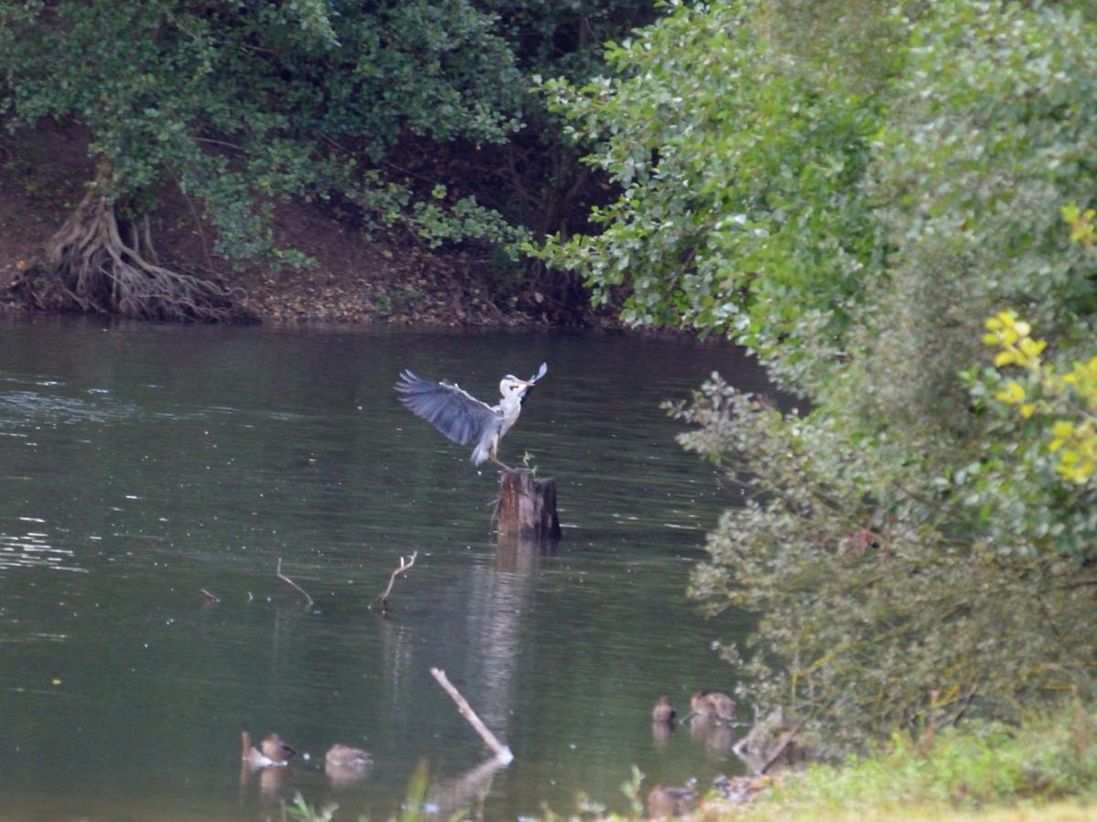 La Ravine Au Bord Du Loing Villa Montigny-sur-Loing Eksteriør bilde